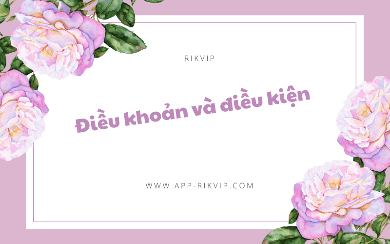 Điều khoản và điều kiện